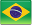 pt-BR